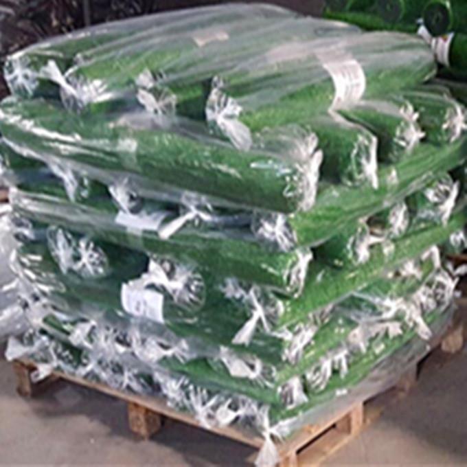Landscape Grass.jpg