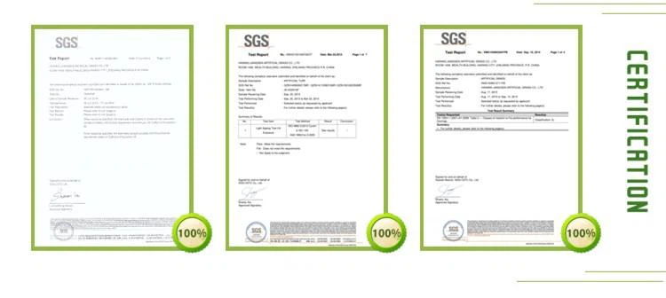 Synthetic Surface Lawn Synthetic Surface Lawn
