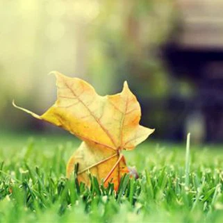 Dekorasyon Kauçuk Paspaslar için Popüler 35mm Yapay Sahte Çim