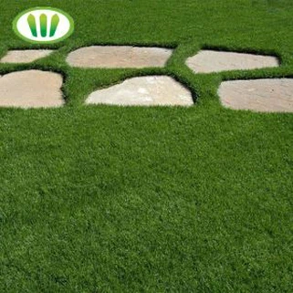 Ev Peyzaj için Yeşil Yapay Halı