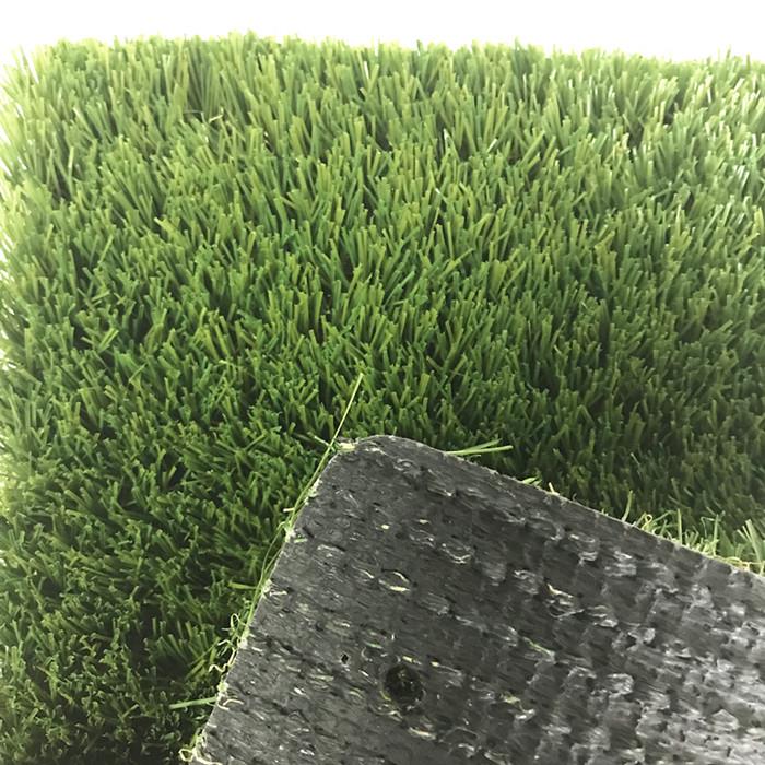 Playground Grass