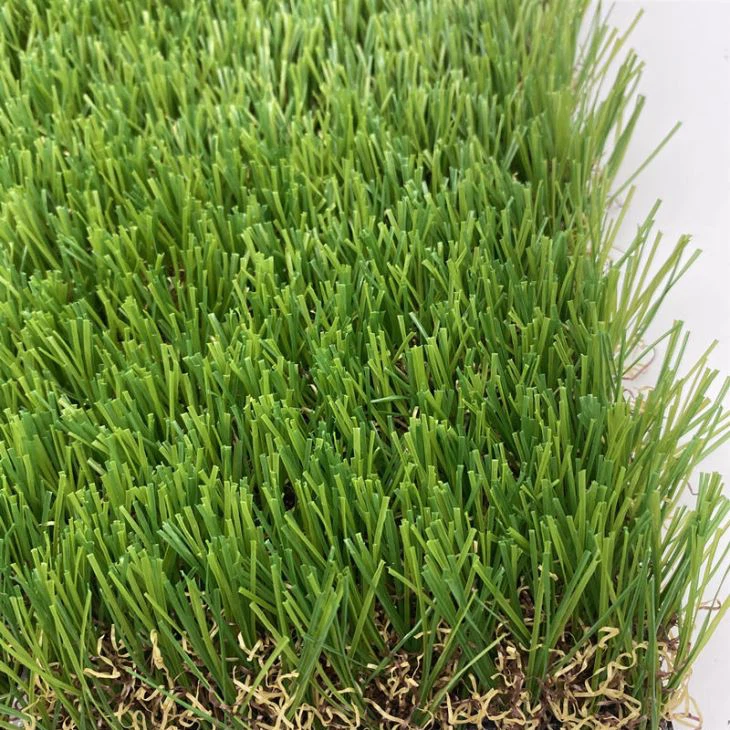 Synthetic Surface Lawn