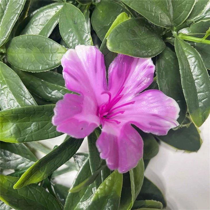 Artificial Flower Wall